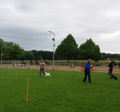 Nieuwe reeks Ringtraining start op 28 maart