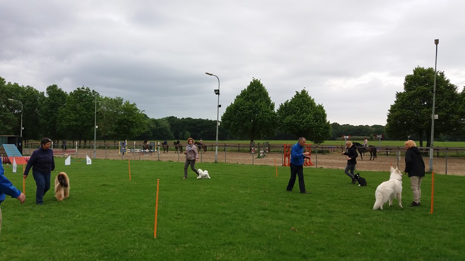 Nieuwe reeks Ringtraining start op 28 maart