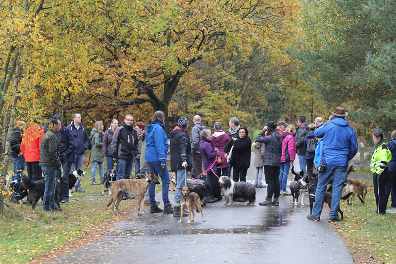 Foto’s wandeling 2018