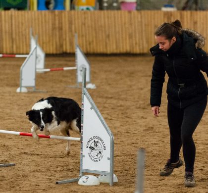 Agility Kerstwedstrijd