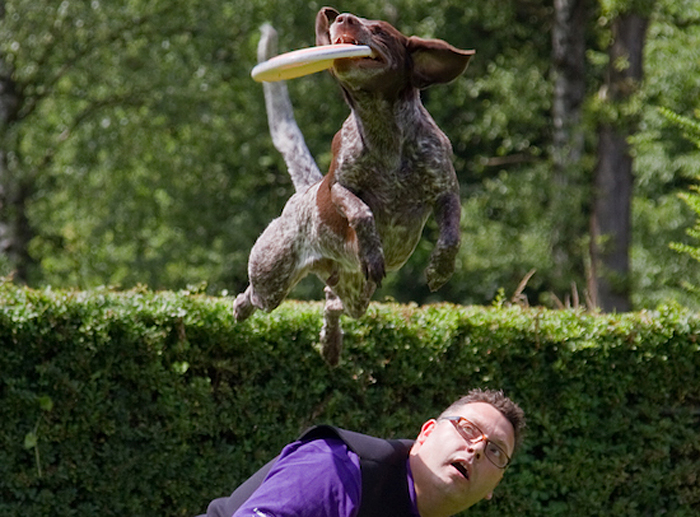 Workshop Dogfrisbee