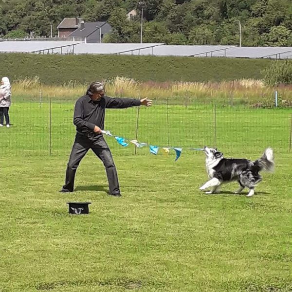 Workshop Doggydance 9.00 uur
