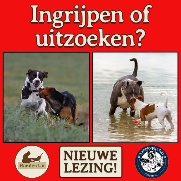 Lezing Liselot Boersma
