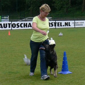 rallyowebsite3