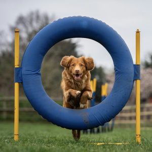 Workshop blessurepreventie