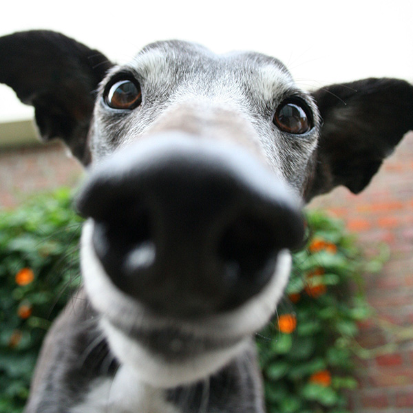 Escape room 13.00-14.00 uur